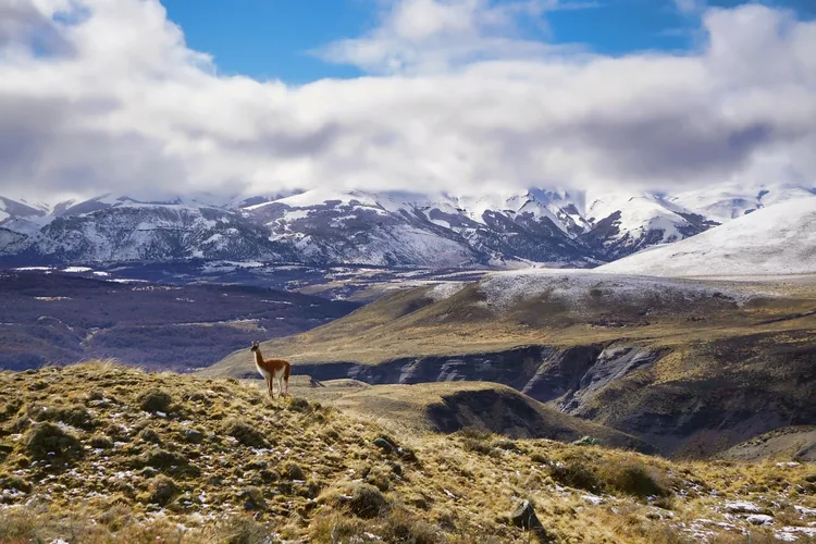 Traslado a El Chaltén Full Day