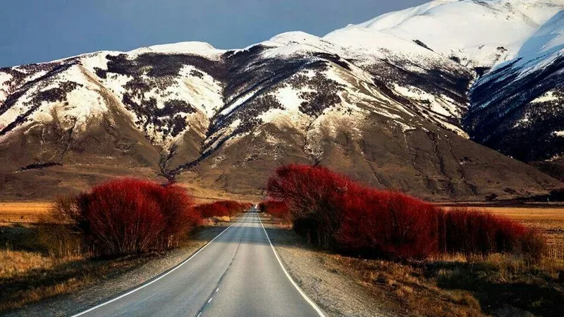Traslado privado al Glaciar Perito Moreno desde El Calafate